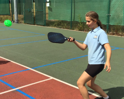 Pickle Ball
