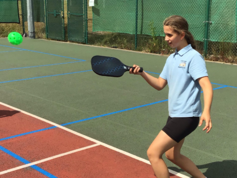 Pickle Ball