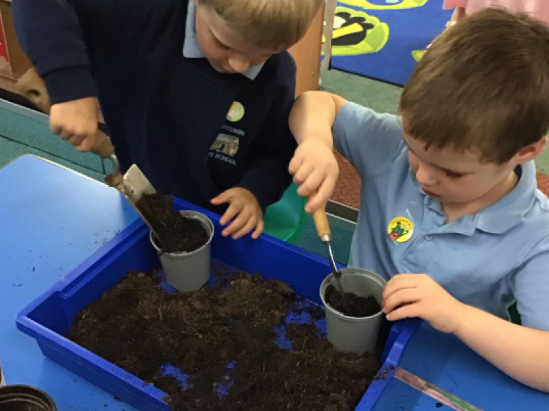 Science in Squirrel Class
